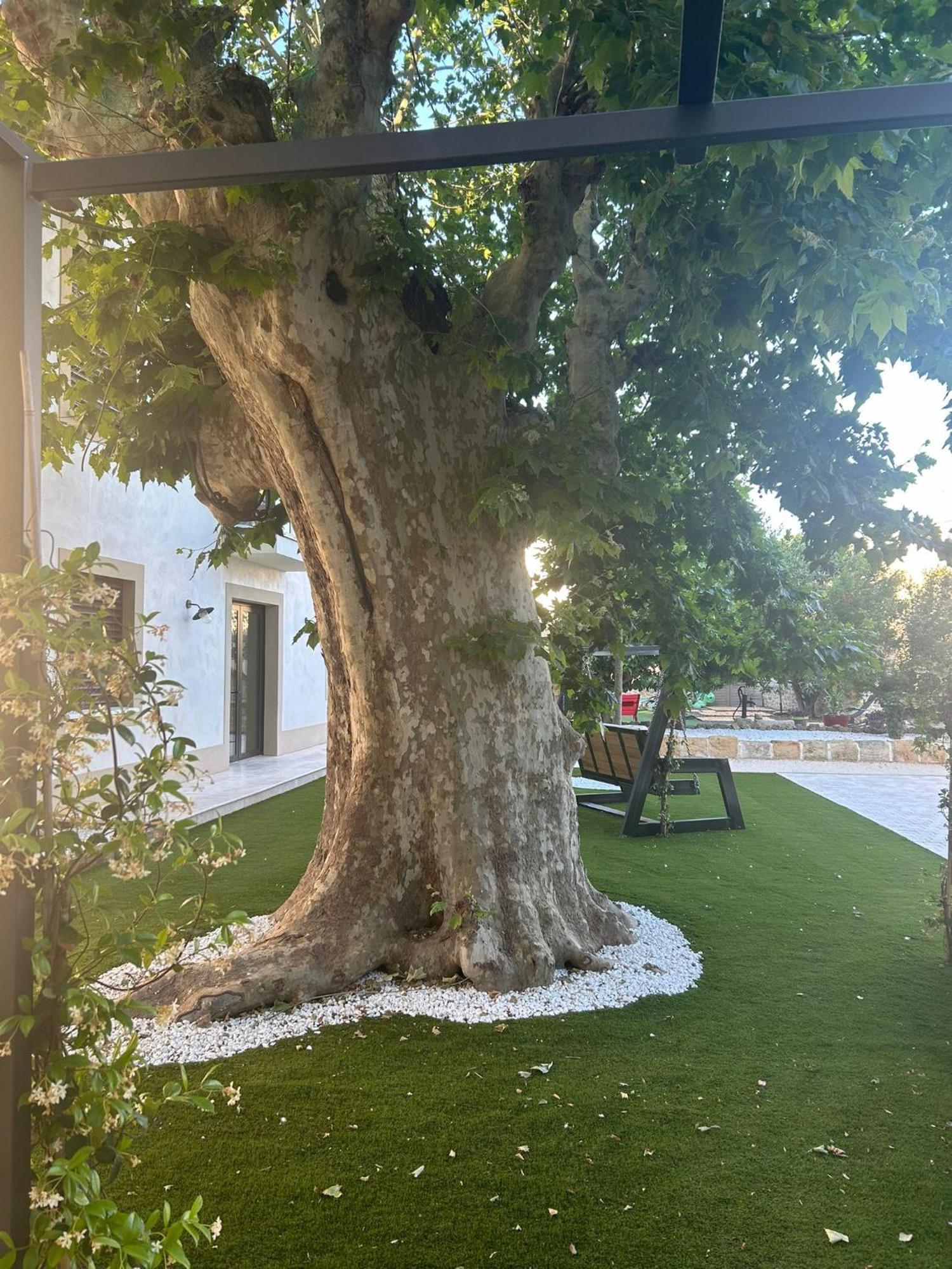 Les Marronniers Acomodação com café da manhã Lavérune Exterior foto
