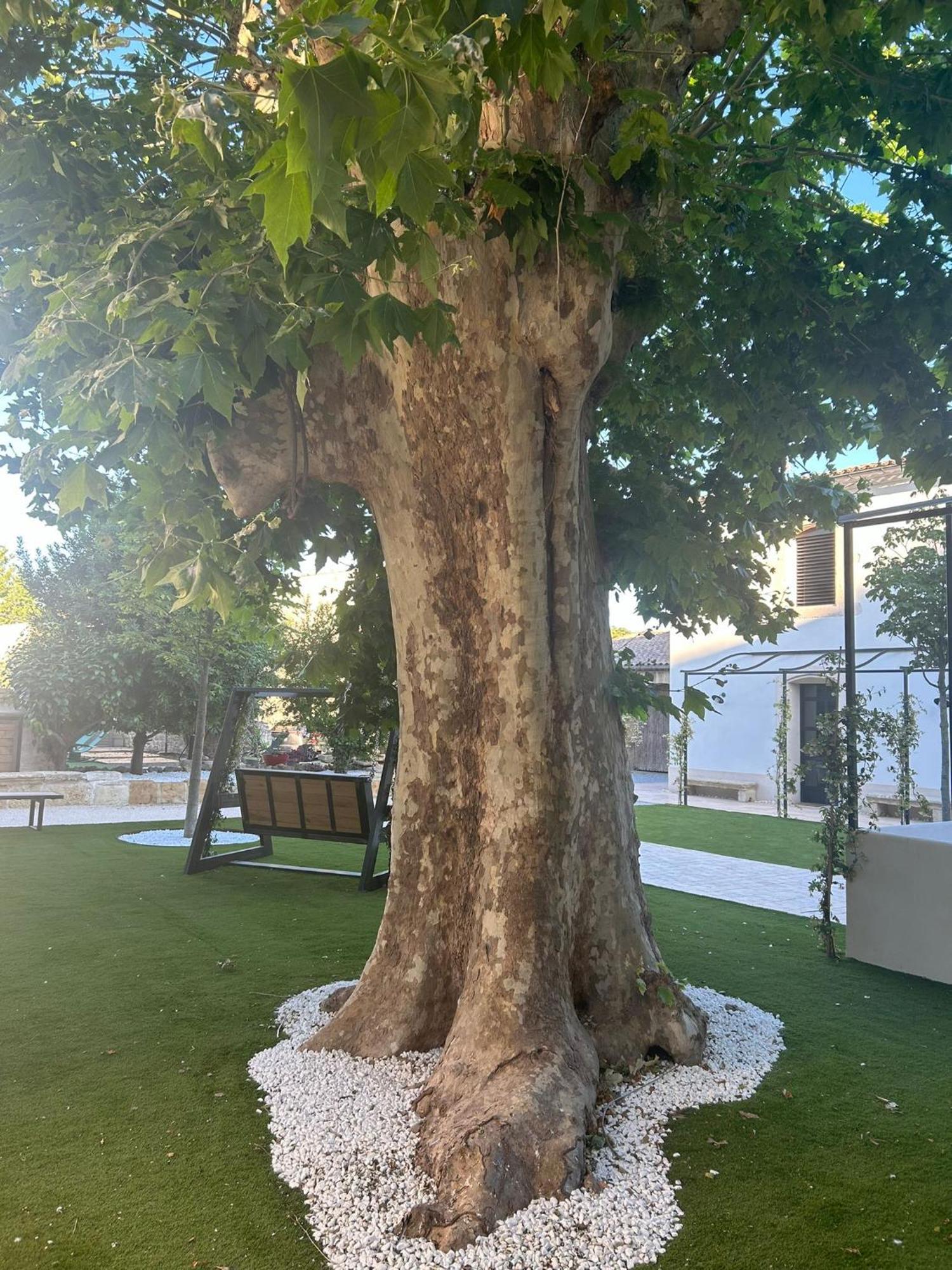 Les Marronniers Acomodação com café da manhã Lavérune Exterior foto