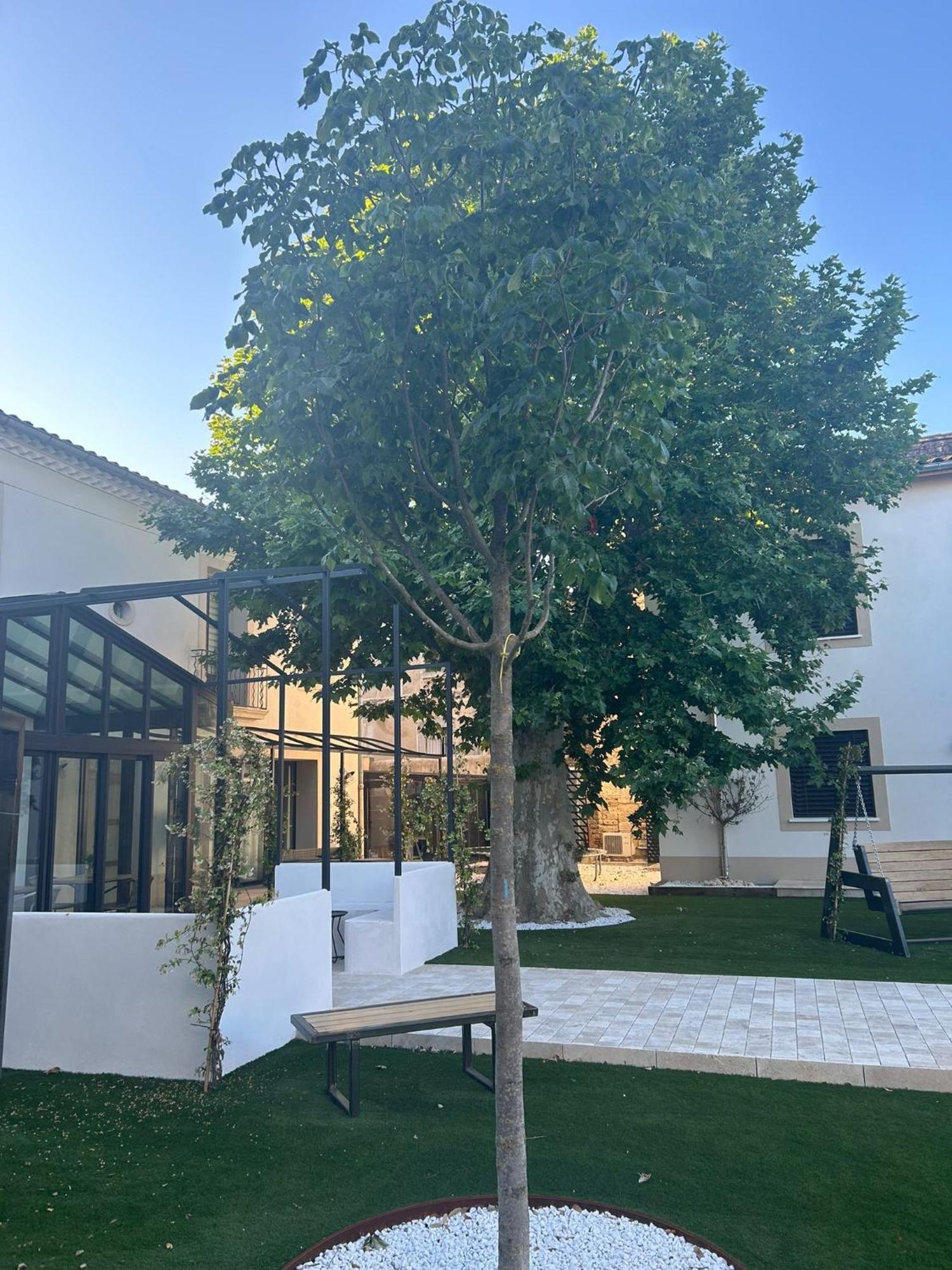Les Marronniers Acomodação com café da manhã Lavérune Exterior foto
